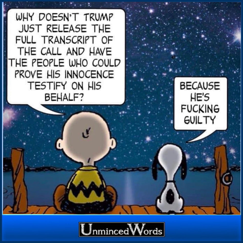 Peanuts Cartoon on politics.