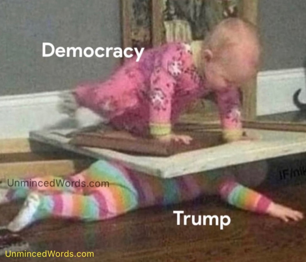 Trump vs Democracy