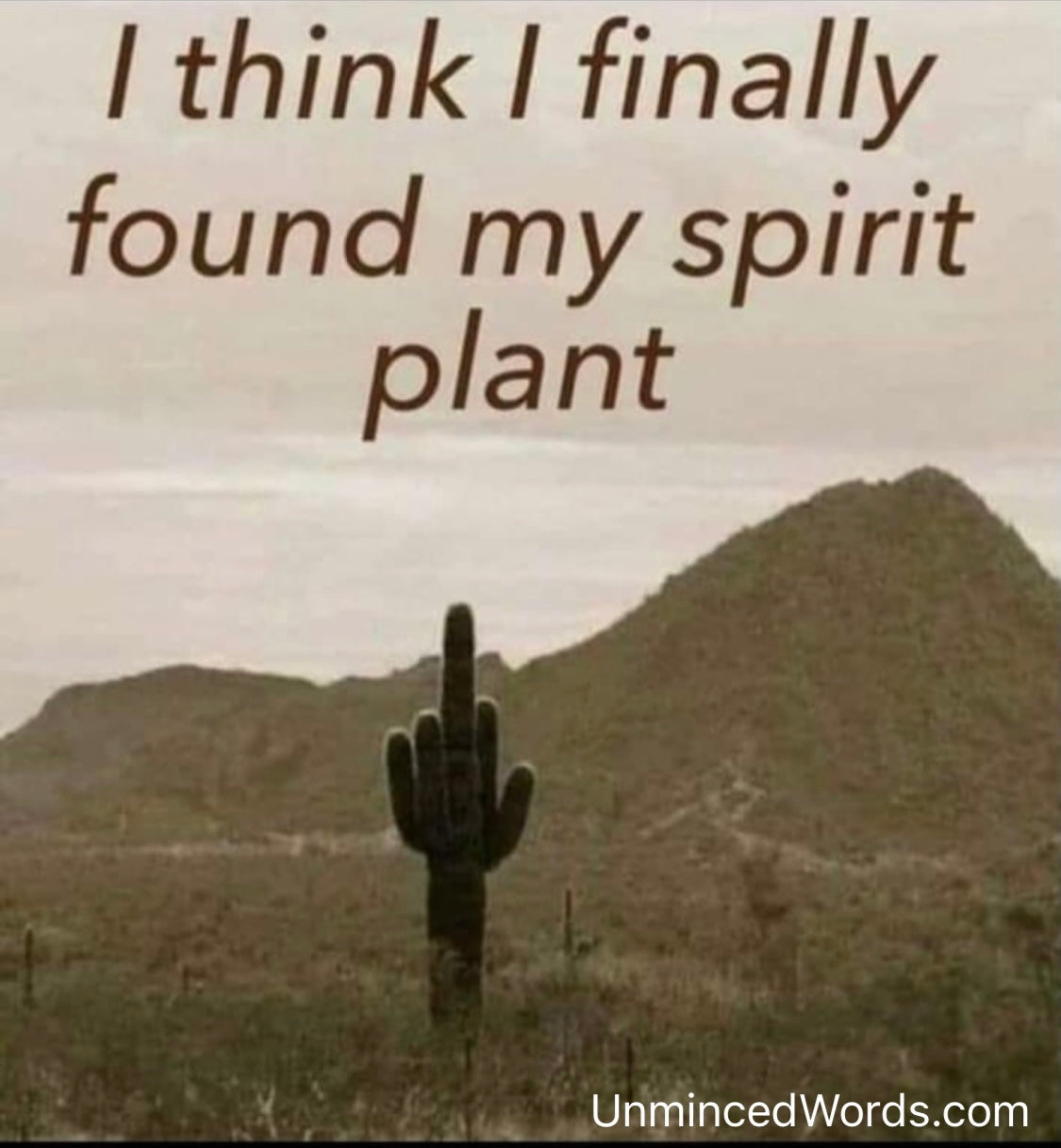 I finally found my spirit plant