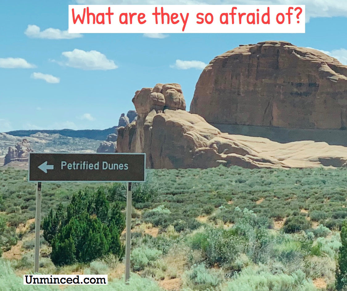 What Are They Afraid Of?