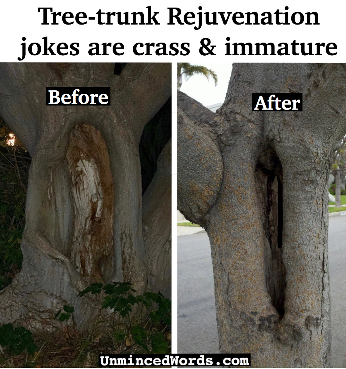 Tree-trunk Rejuvenation jokes are crass and immature