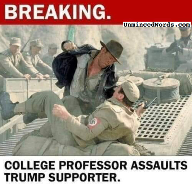 College Professor Assaults Trump Supporter