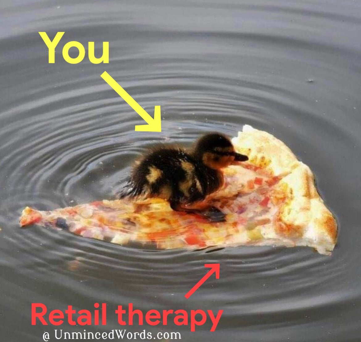 I am the pizza to your duck