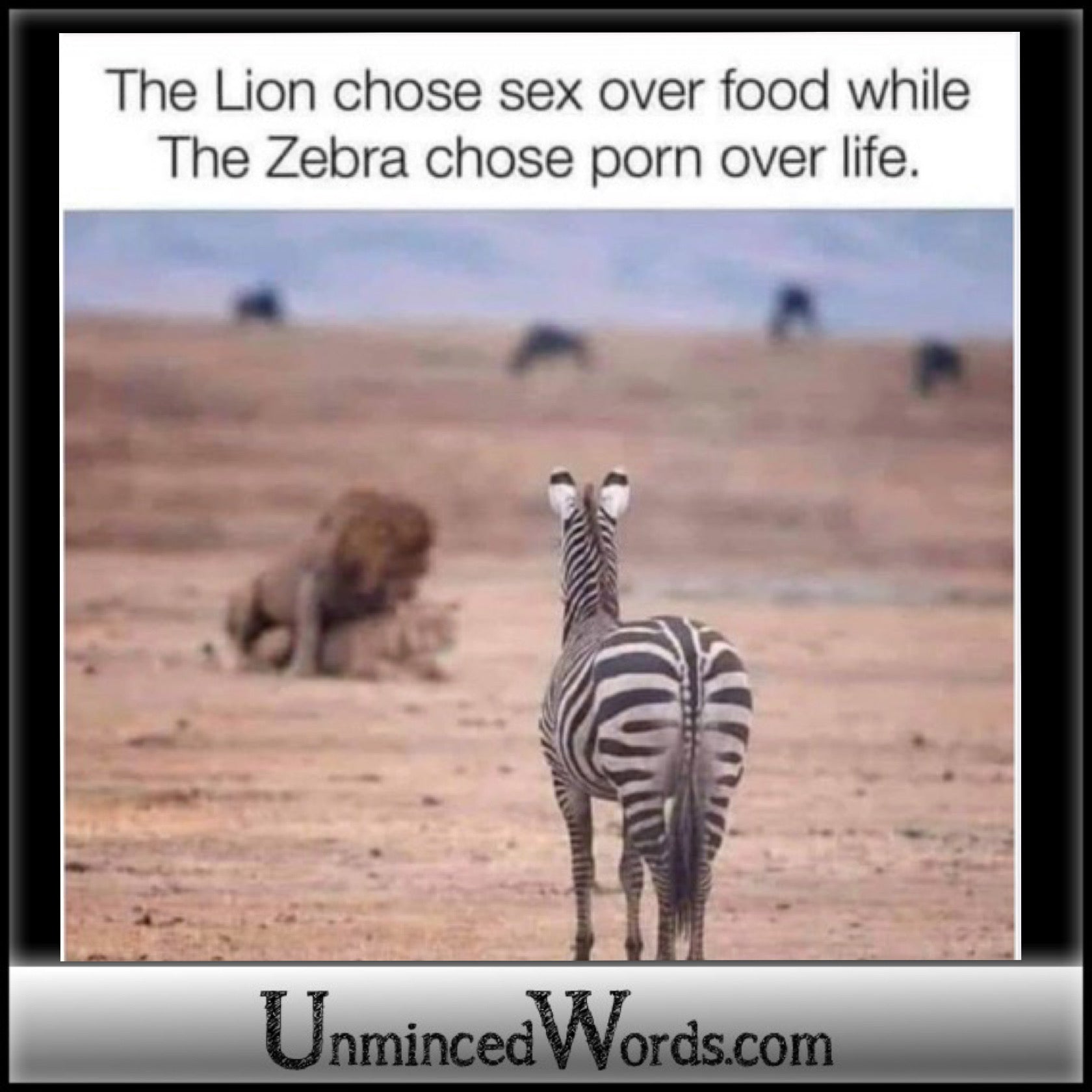 The Lion chose sex over food, while the zebra chose porn over life.