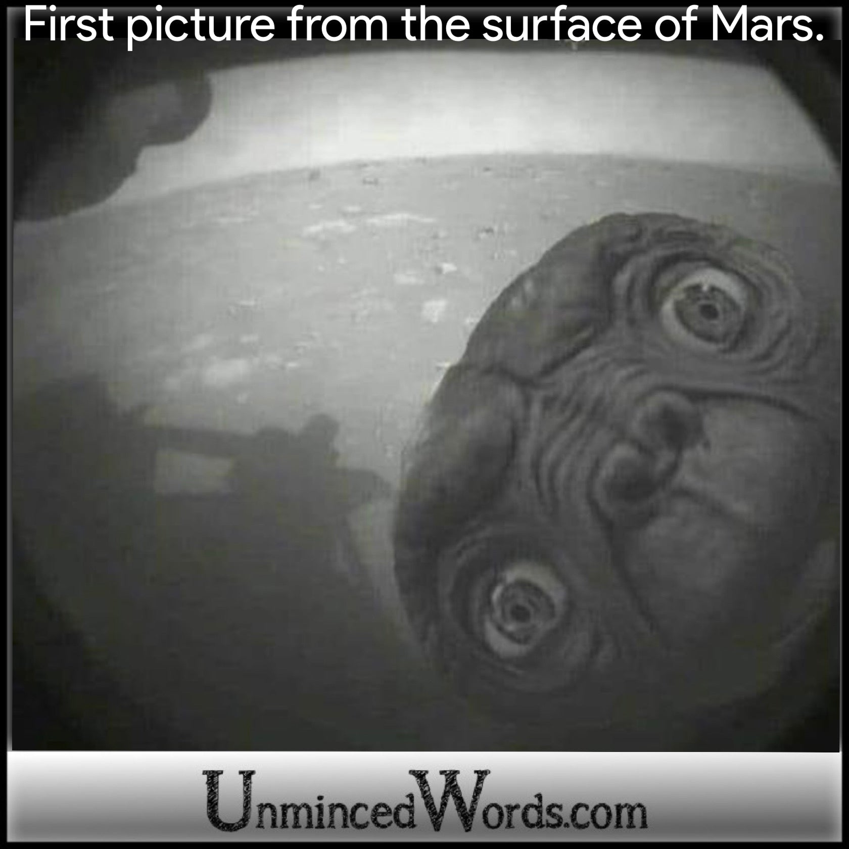 First picture from the surface of Mars.