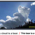 This bear is a cloud