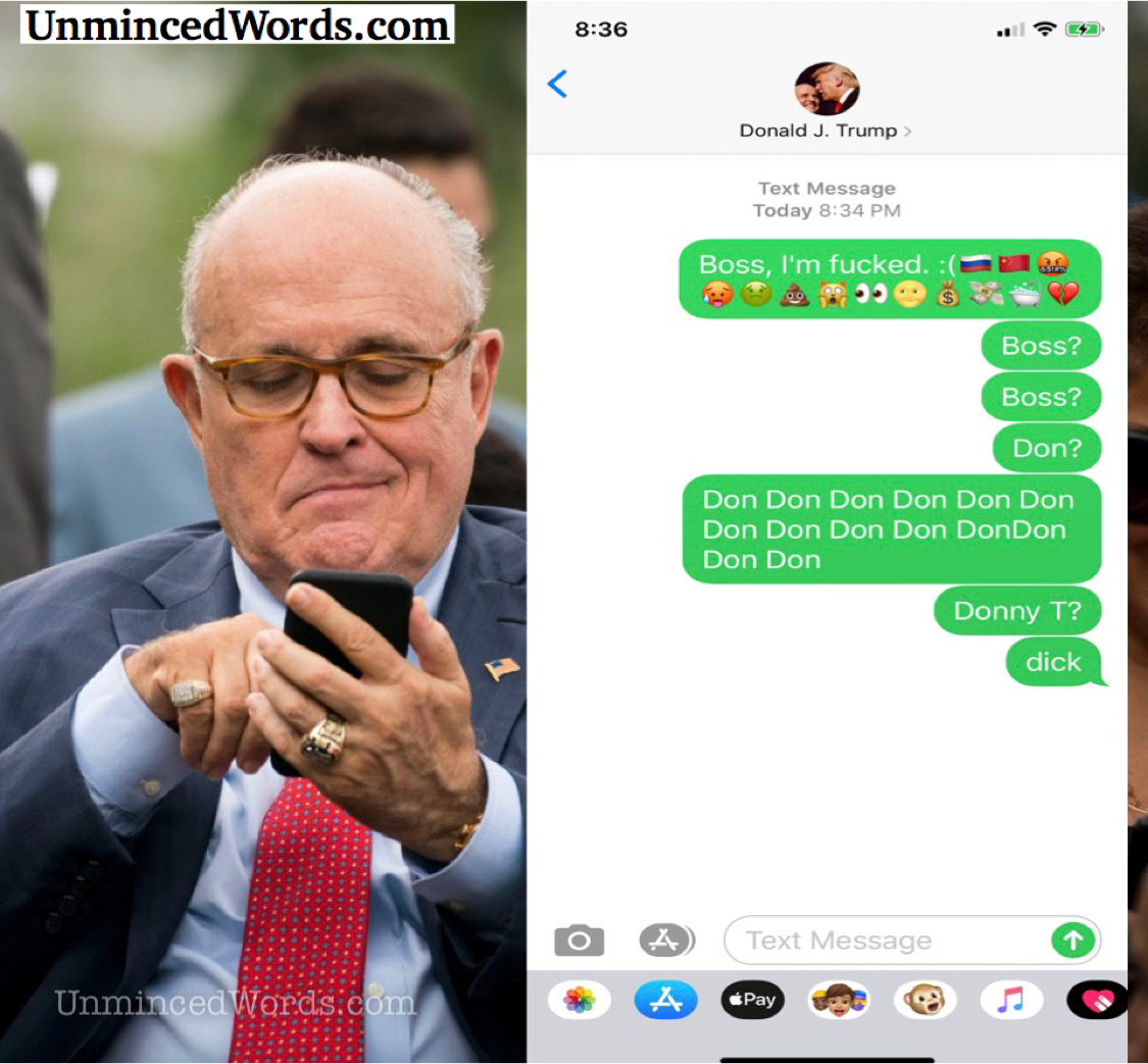 Giuliani texting Trump