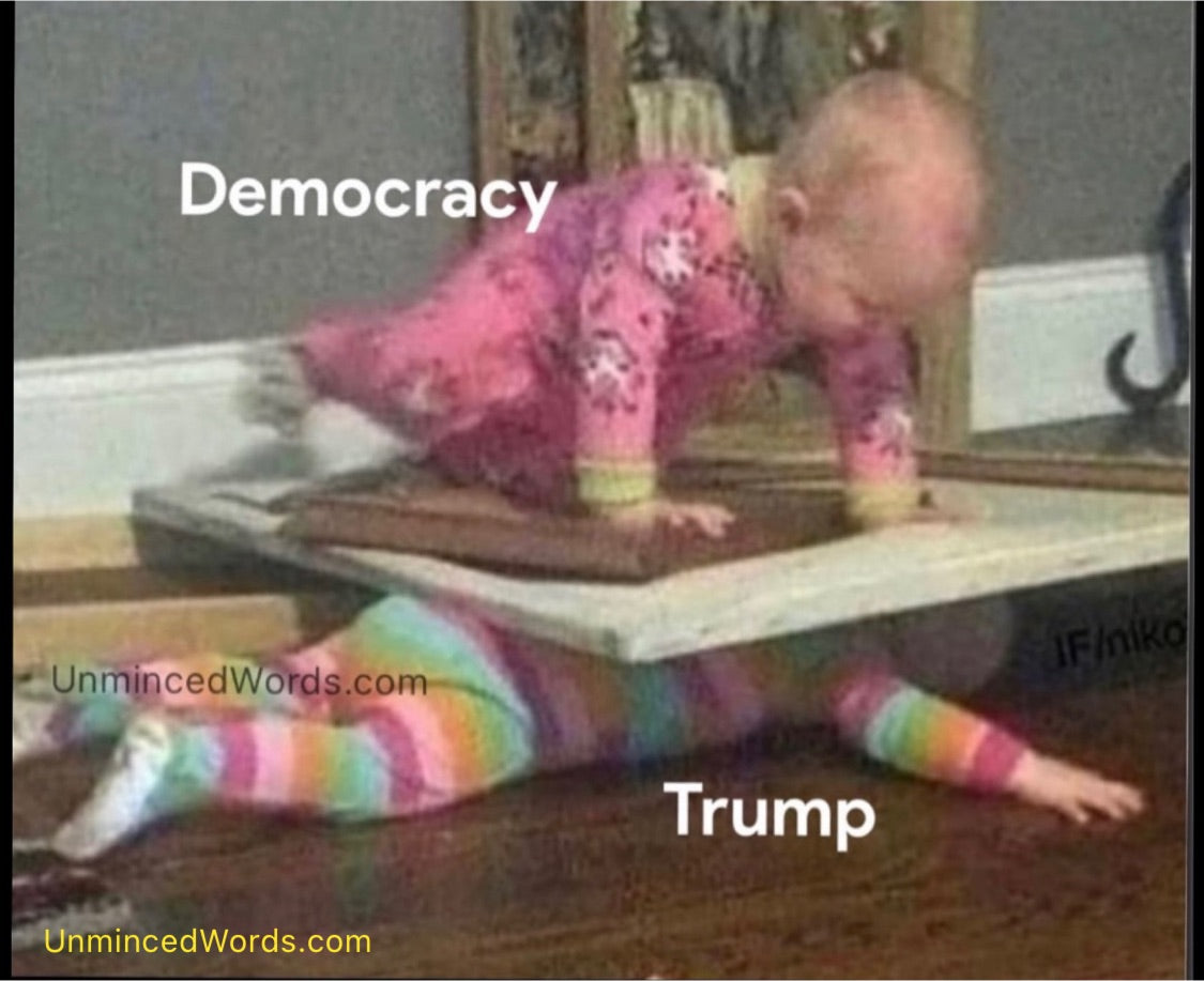 Trump versus Democracy meme is how it feels
