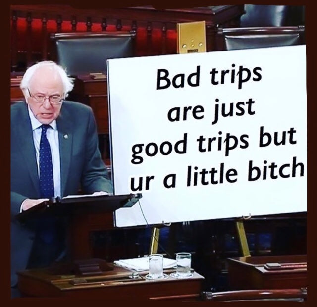 Bernie Sanders Drug Wisdom is my spirit guide
