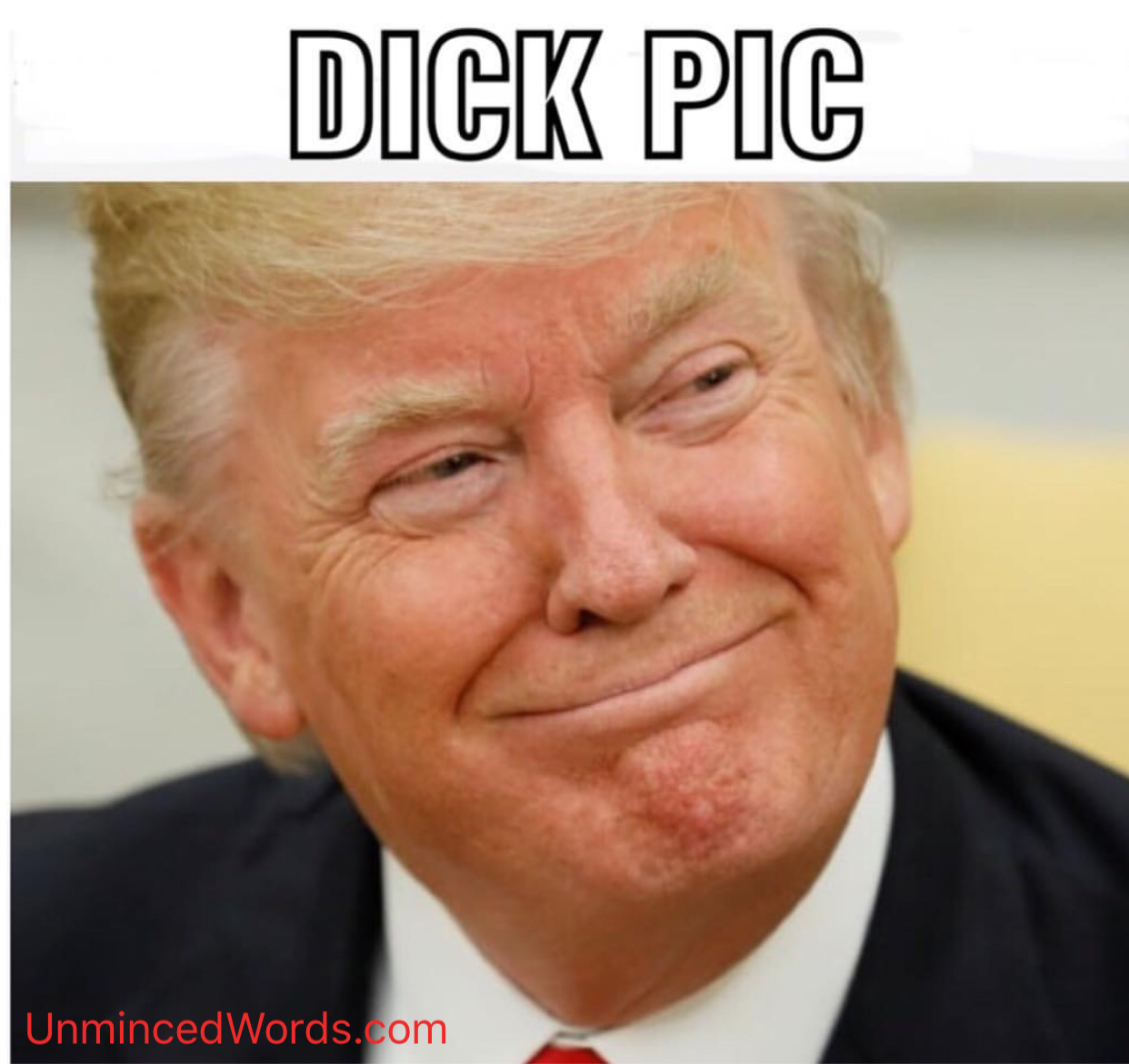 ‪TRUMP MAKES FOR THE ULTIMATE “DICK PIC”.