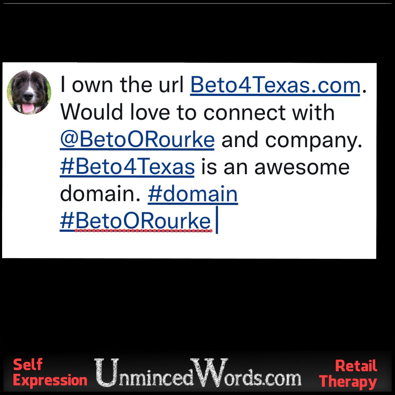 I own the url Beto4Texas.com