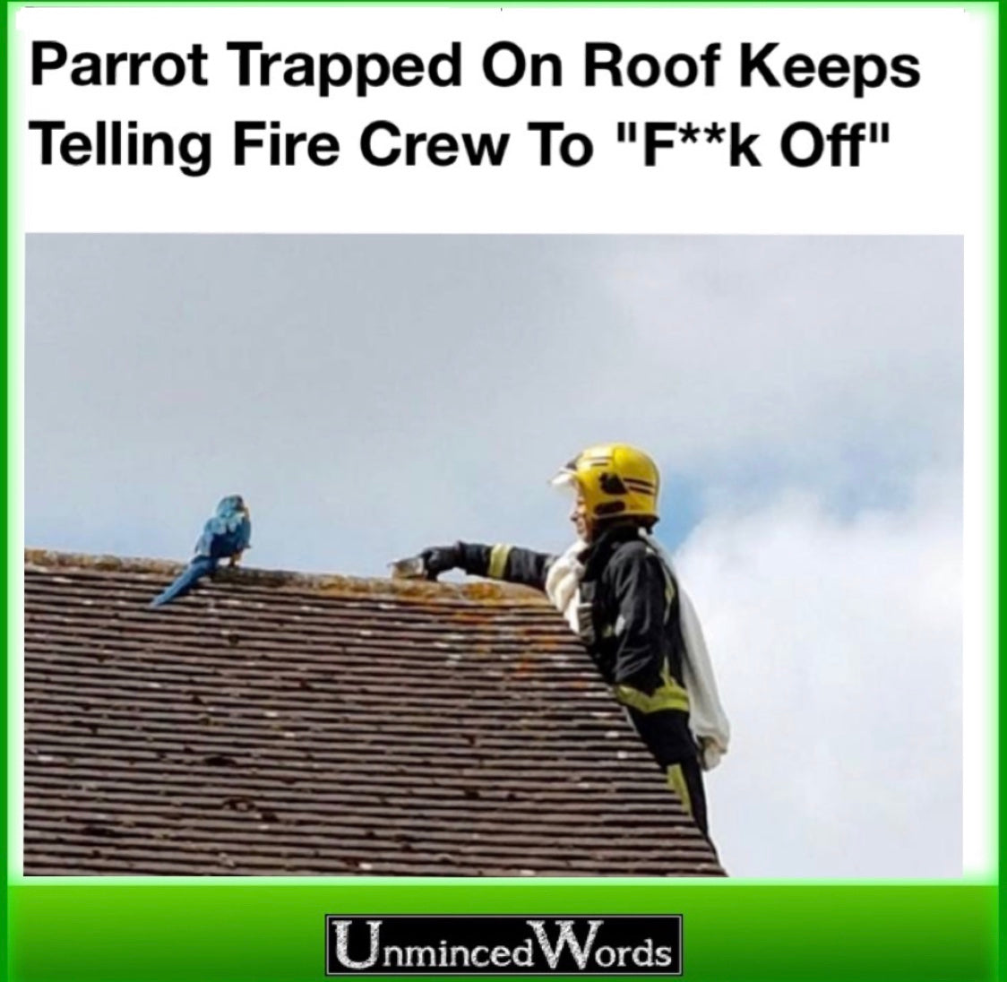 Parrot trapped on roof keeps telling fireman to fuck off