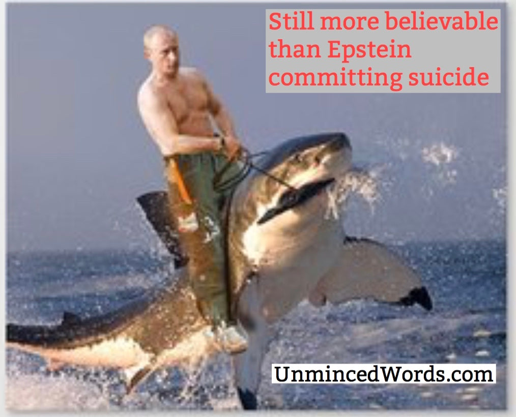 Still more believable than Epstein committing suicide