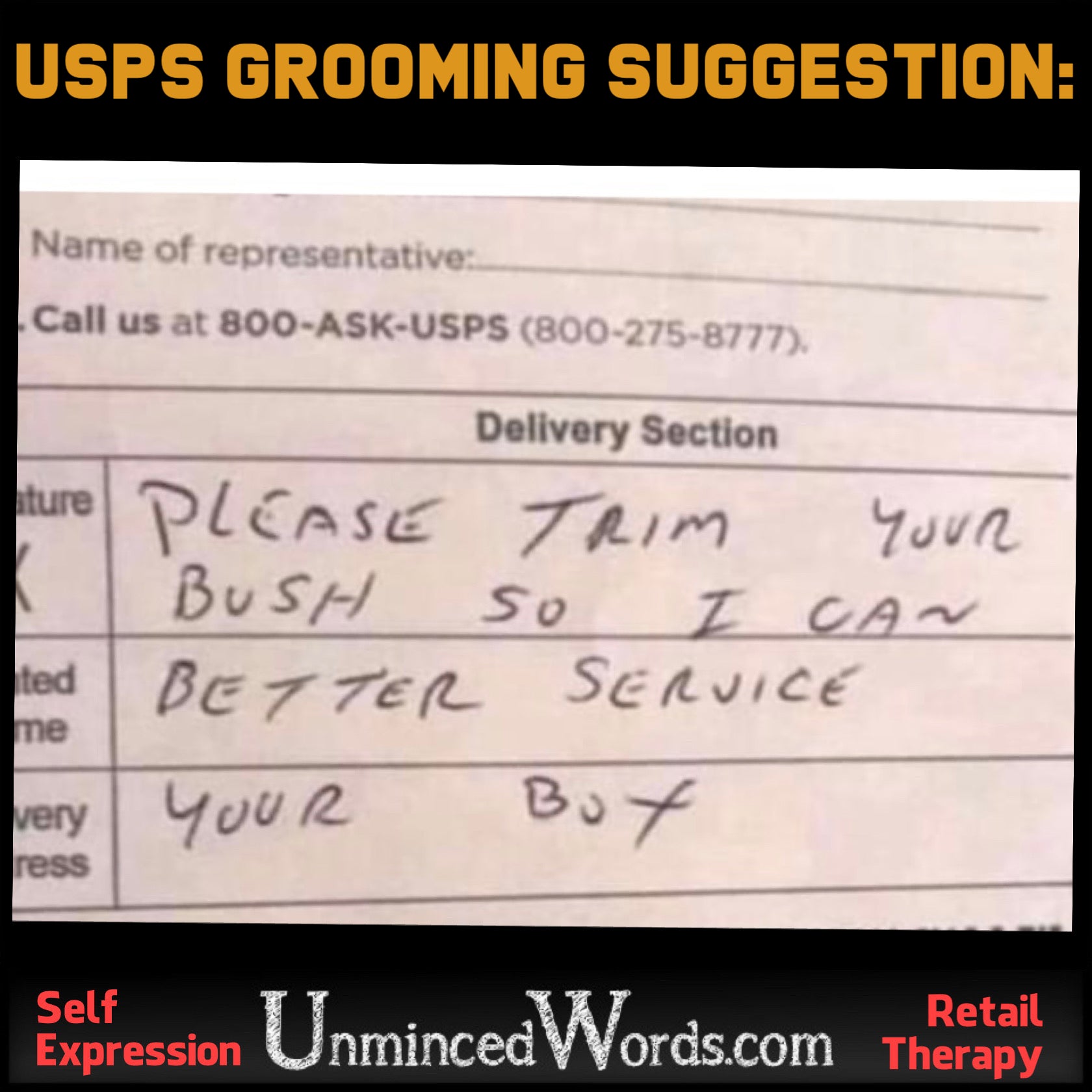 USPS Grooming Suggestion humor for your day