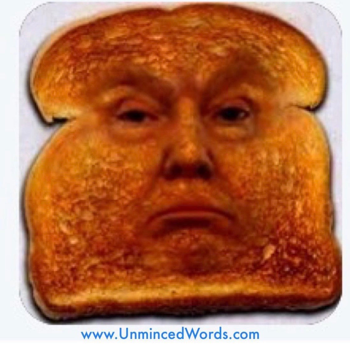 Trump Is Toast meme Unminced Words