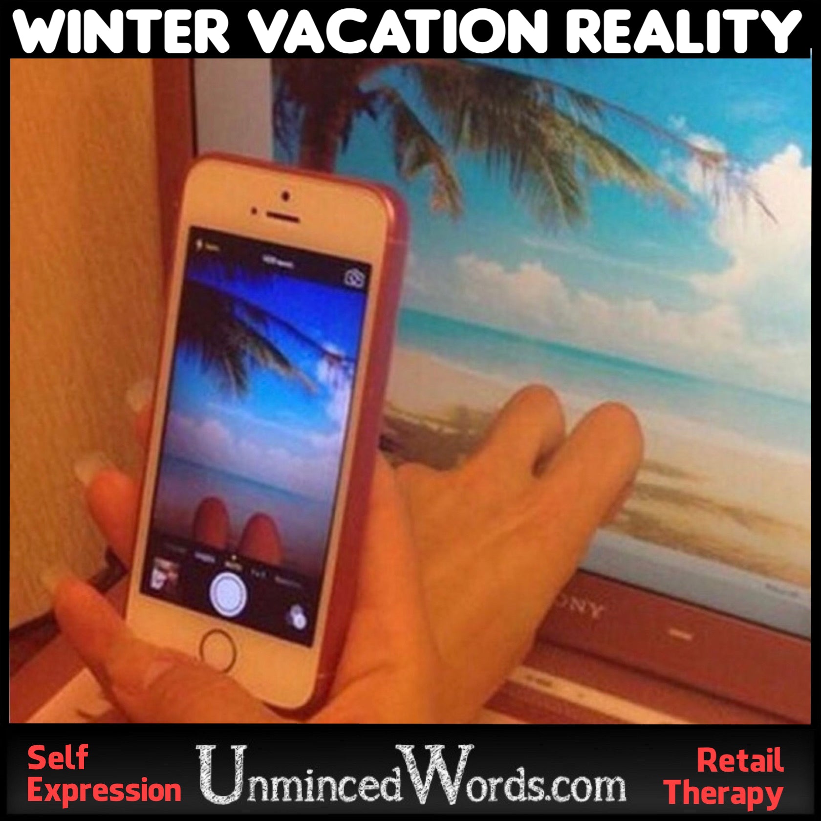Winter Vacation Reality