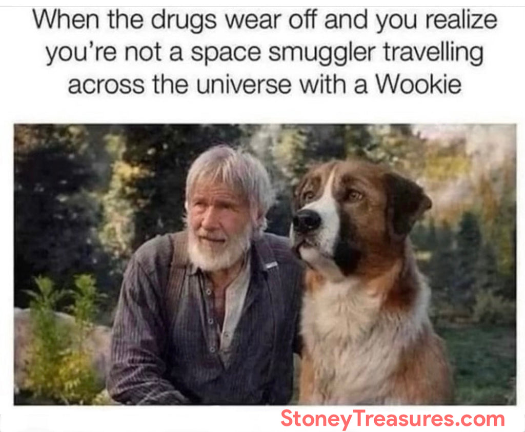 When the drugs wear off and you realize you’re now a space smuggler traveling across the universe with a Wookie.