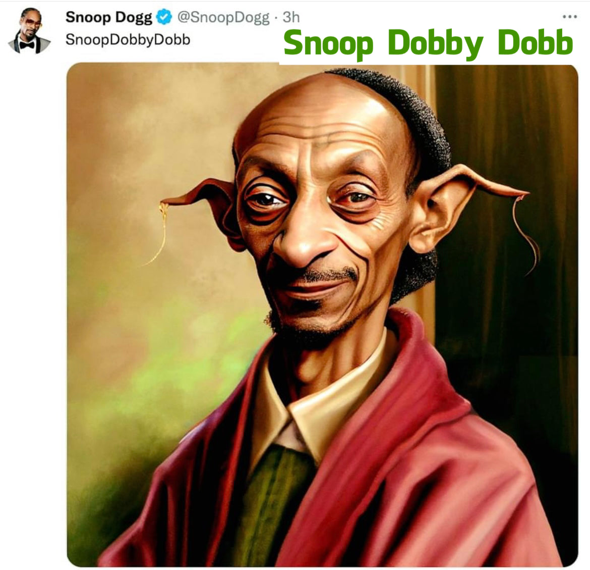Snoop Dobby Dobb Snoop Dogg glory