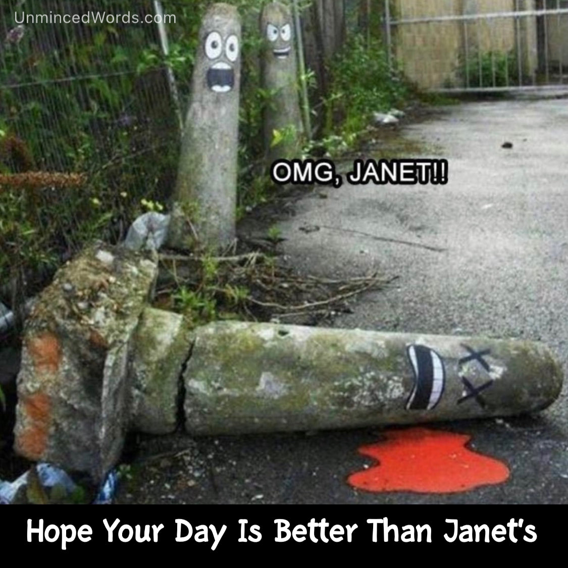 Hope your day is better than Janet’s.