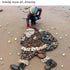 Amazing holiday beach stone art