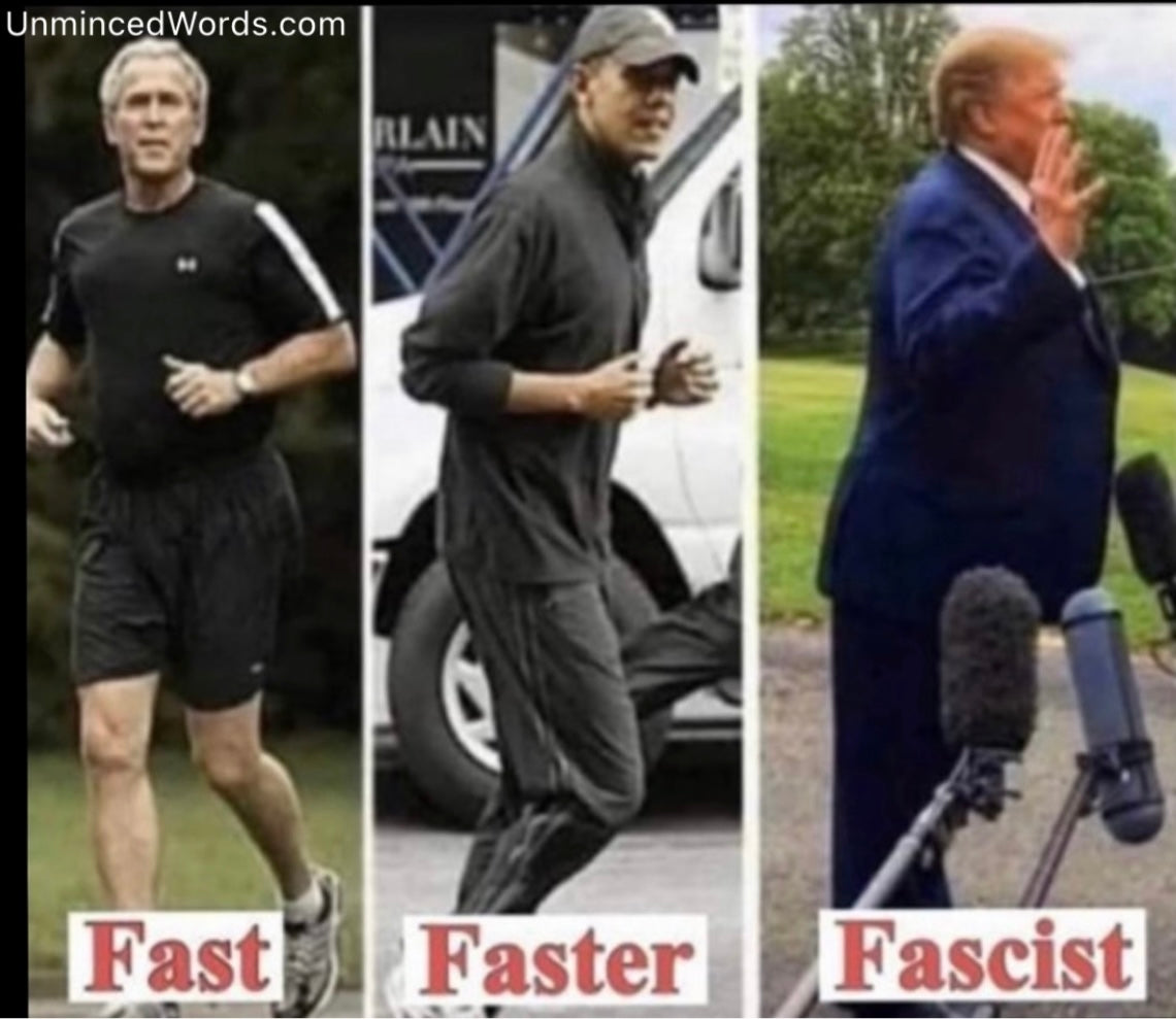 Fast, Faster, Fascist sums up politics today