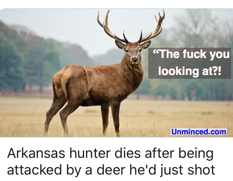 Arkansas Deer Kills Hunter