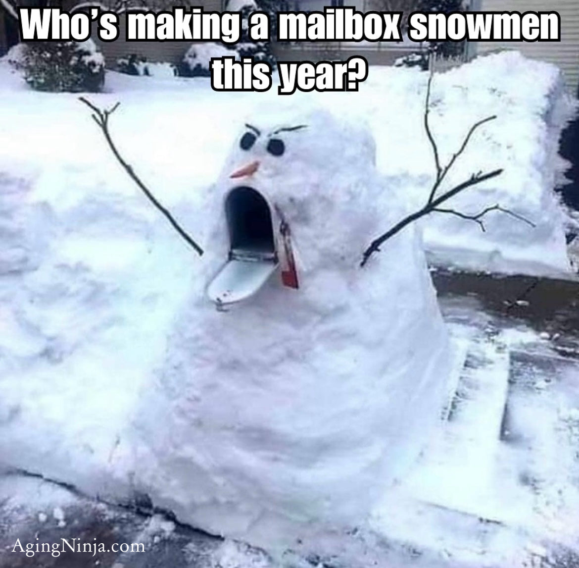 Snowman Mailbox fun