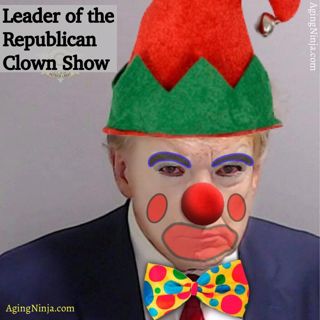 Leader of the Republican clown show, Donald Trump