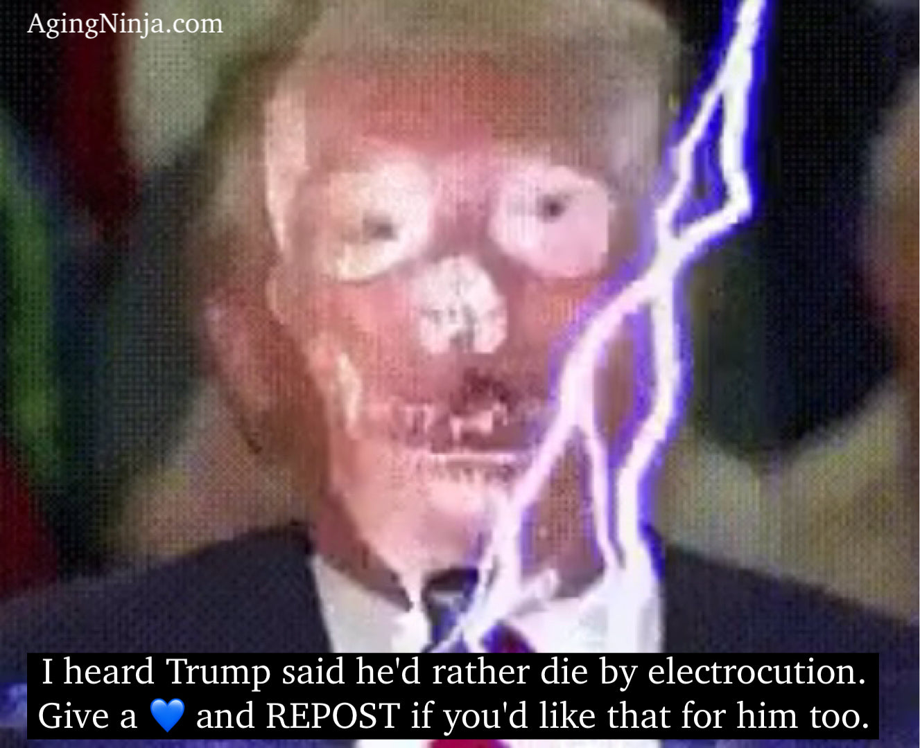 Trump said he’d rather die by electrocution