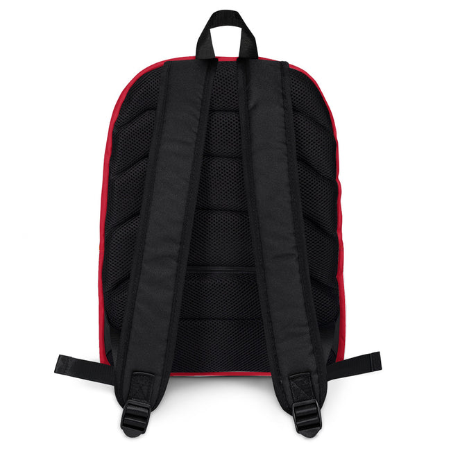 Swift 13 - Backpack