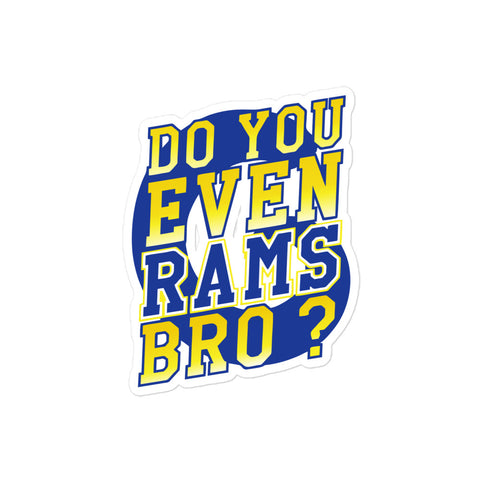 Do You Even RAMS, Bro? - Bubble-free stickers